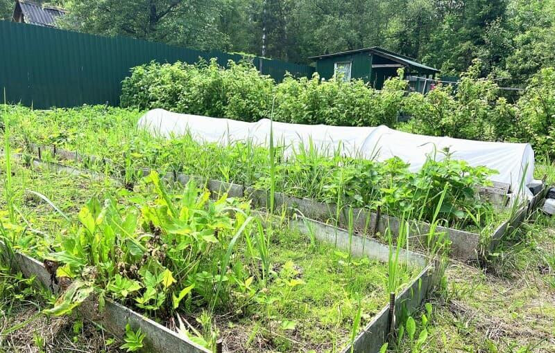 Дача, 16 м2 Егорьевск - изображение 5