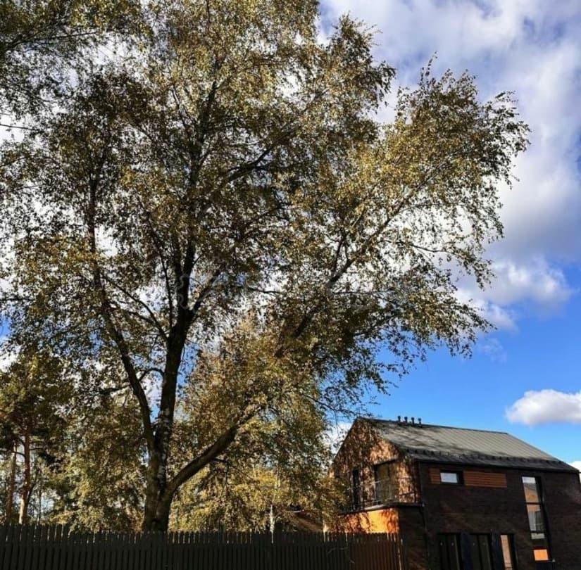 Коттедж, 178 м2, 5.5 сотки, 2 эт. Балашиха - изображение 3