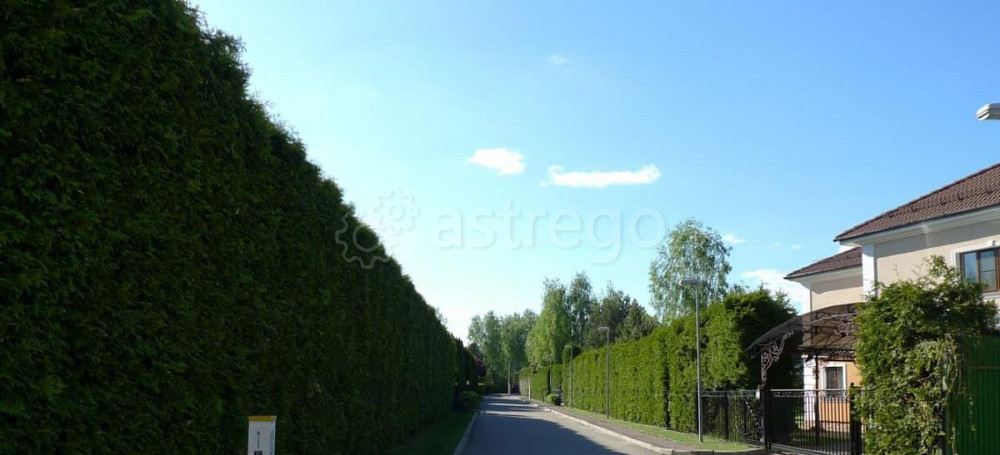 Коттедж, 339.6 м2, 23.26 сотки, 2 эт. Королев - изображение 4