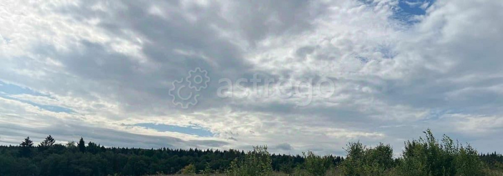 Земельный участок, 22.71 сотки Истра - изображение 1