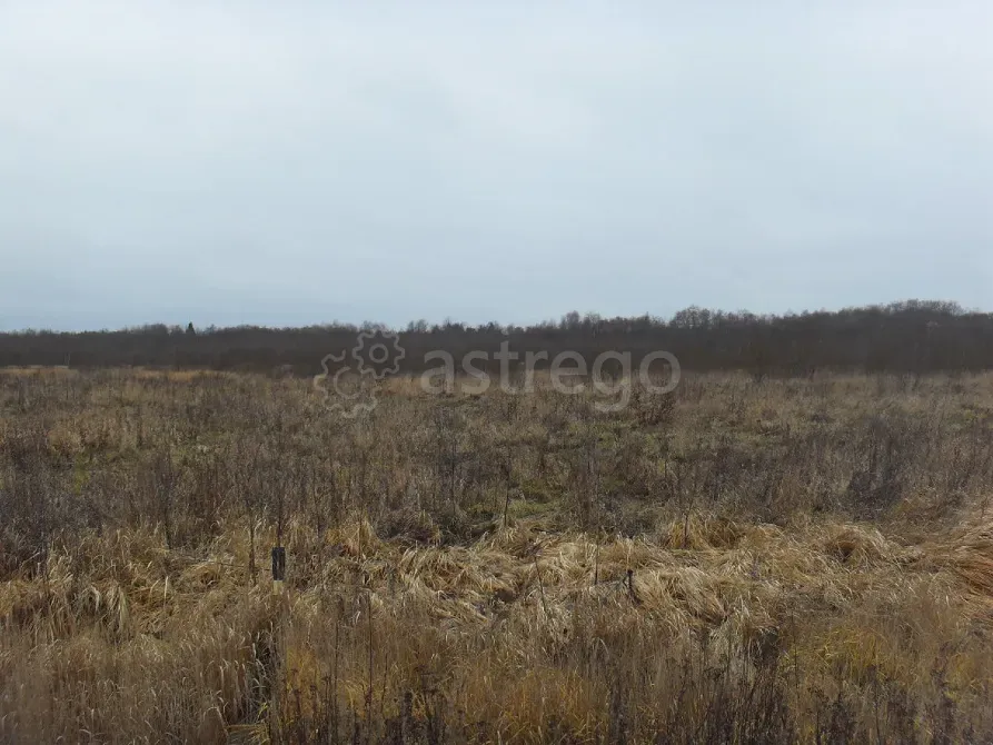 Продам Участок, Садовый, 1280 сот. Калязин - изображение 1