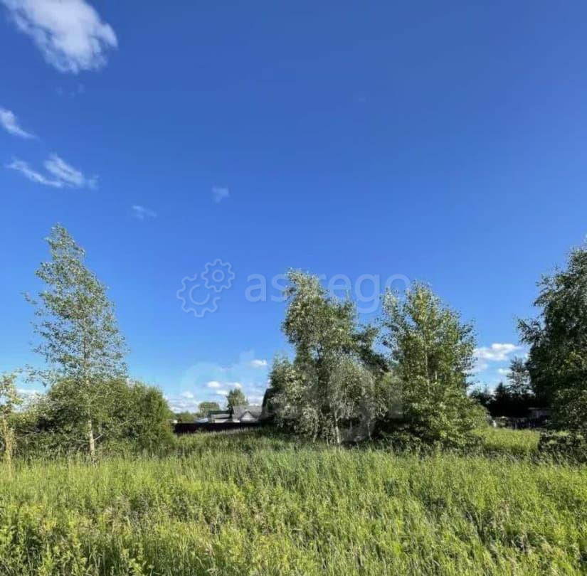 Земельный участок, 10 соток Котлас - изображение 4