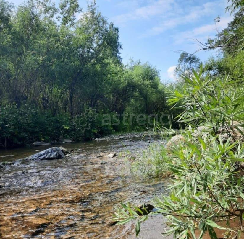 Земельный участок, 1.8 га Алтайское - изображение 1