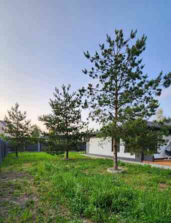 Коттедж, 236.6 м2, 8.5 сотки, 1 эт. Старая Купавна