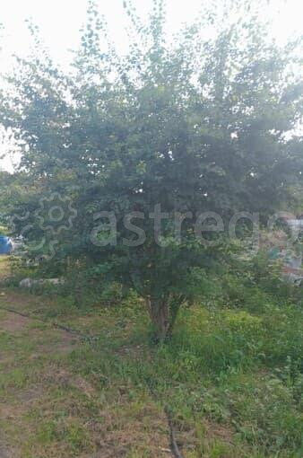 Дом, 40 м2 Истра - изображение 7