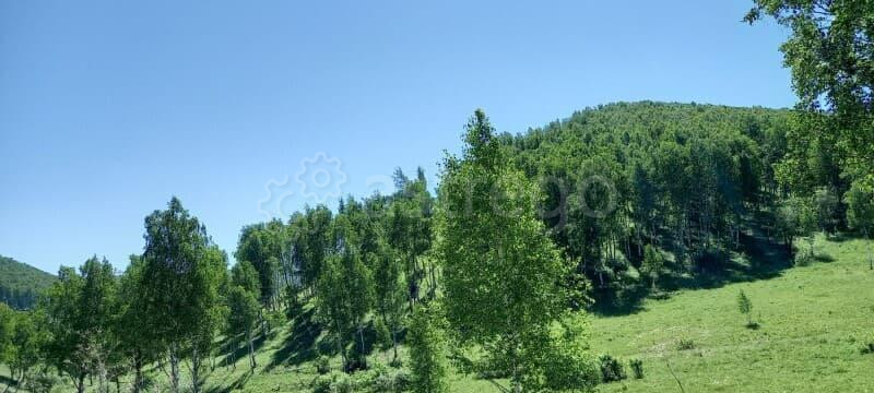 Коммерческий участок, 27 соток Алтайское - изображение 4