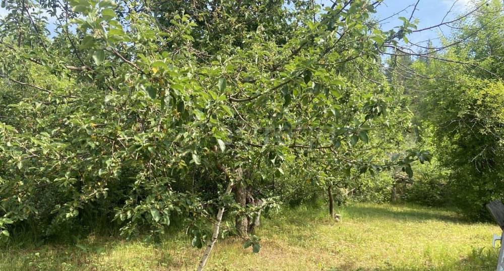 Дом, 30 м2, 12 соток, 2 эт. Уфа - изображение 5