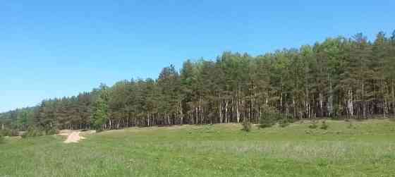 Земля с/х назначения, 8 соток Павловский Посад