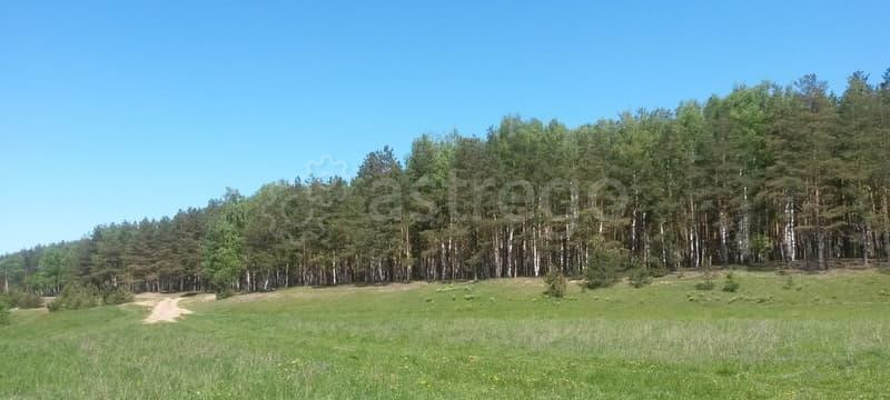 Земля с/х назначения, 8 соток Павловский Посад - изображение 2