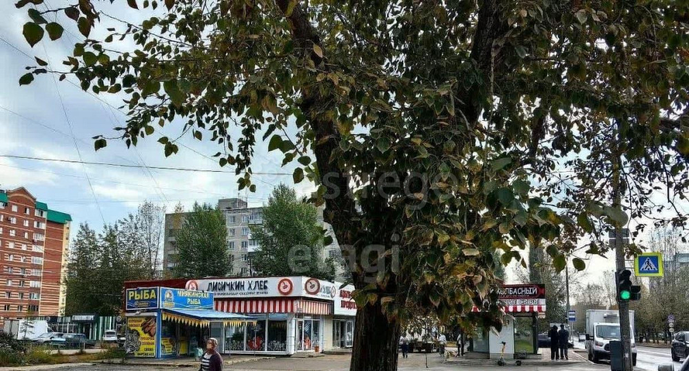 Торговое помещение, 100.1 м2 Уфа - изображение 7