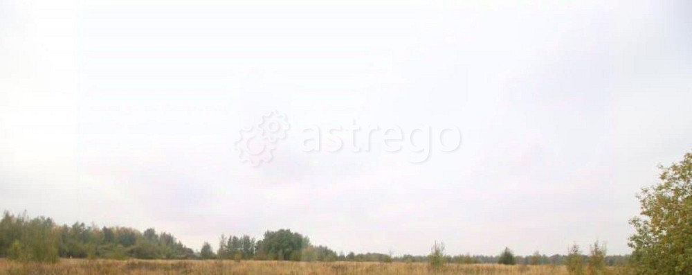 Коммерческий участок, 4.8 га Клин - изображение 3