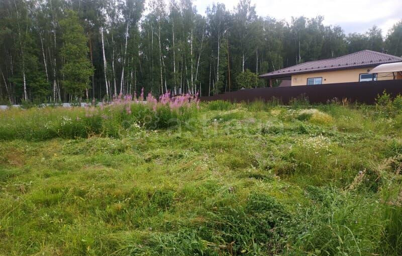 Земля с/х назначения, 17.59 сотки Чехов - изображение 6