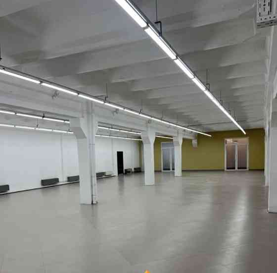 Свободного назначения, 450 м2 Бородино