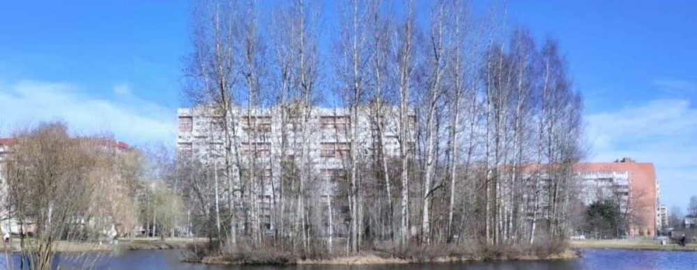Комната, 12.8 м2, 11/15 эт. Санкт-Петербург - изображение 6