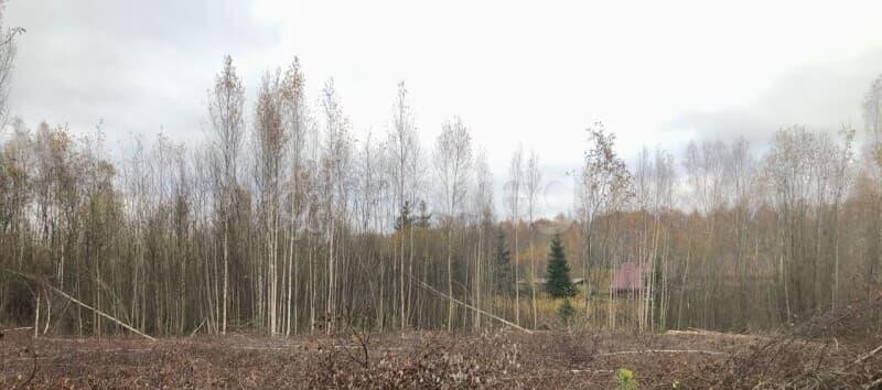 Земля с/х назначения, 7.8 сотки Солнечногорск - изображение 2