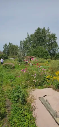 Продам участок, Садовый 10 соток Южно-Сахалинск