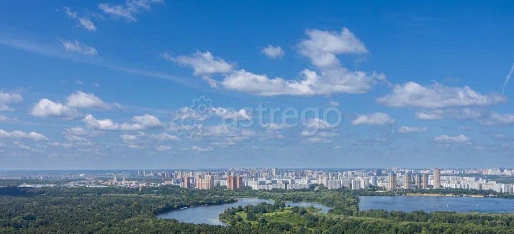 5-комн. квартира, 236 м2, 43/48 эт. Москва - изображение 5