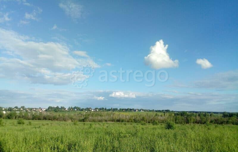 Земля с/х назначения, 133 га Можайск - изображение 5