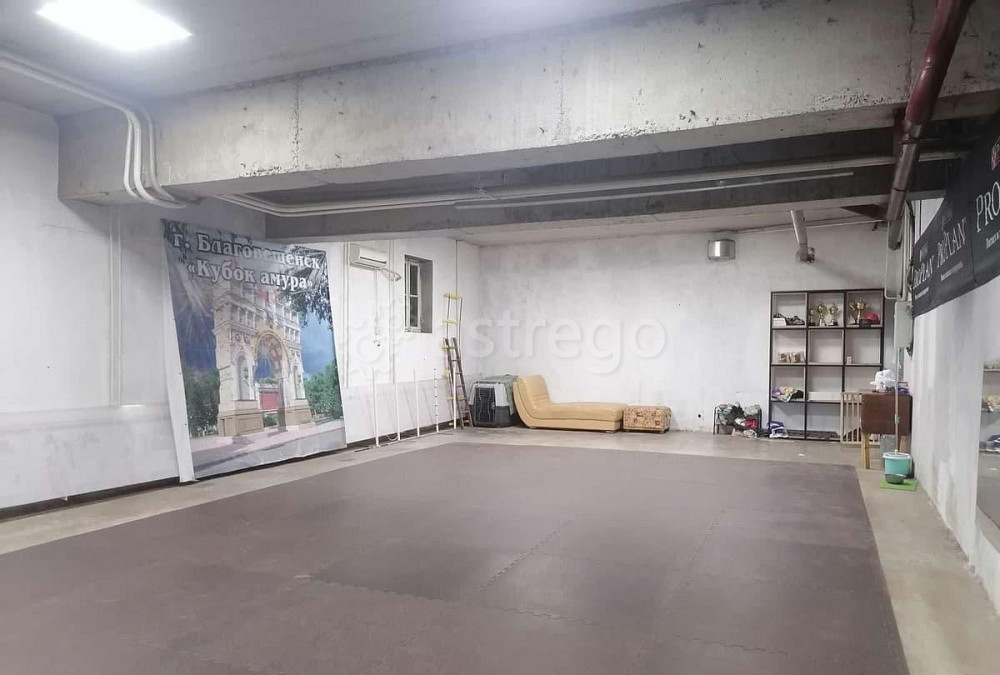 Производственное, 260 м2 Благовещенск - изображение 2