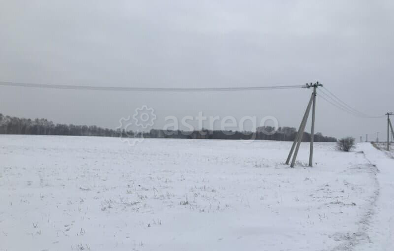 Земельный участок, 10 соток Емельяново - изображение 4