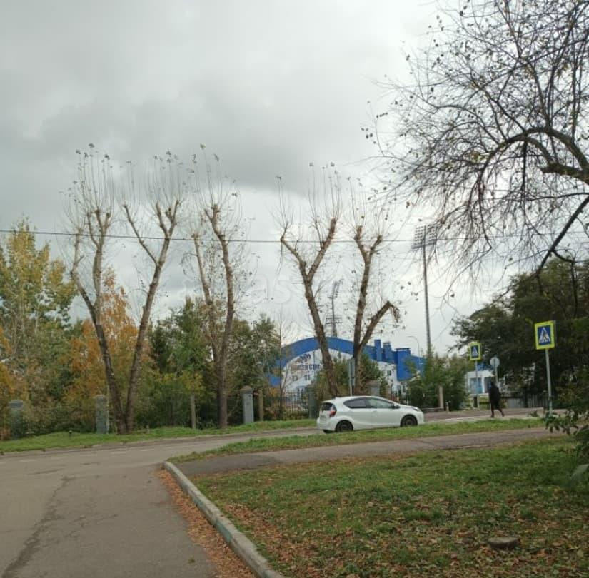 Комната, 18 м2, 4/5 эт. Красноярск - изображение 7