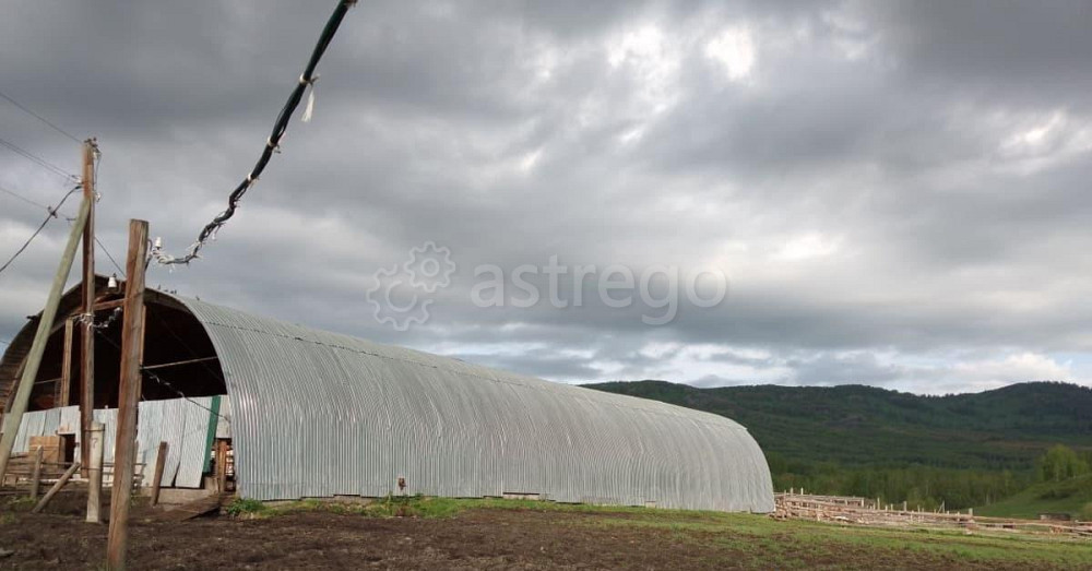 Земельный участок, 100 га Алтайское - изображение 3