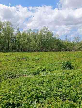 Земельный участок, 12.32 сотки Архангельск