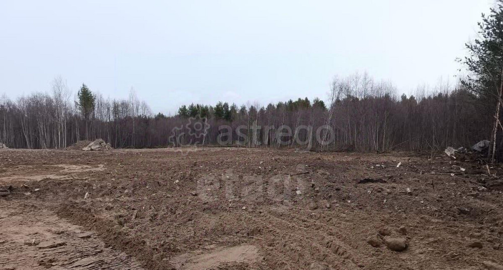 Земельный участок, 3.05 га Новодвинск - изображение 2