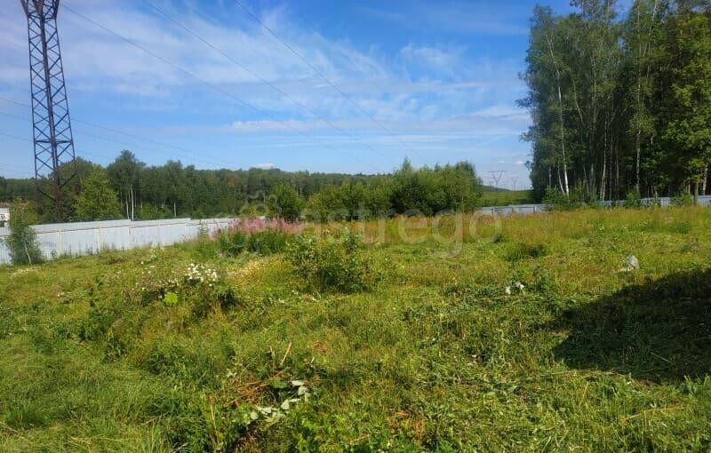 Земля с/х назначения, 17.59 сотки Чехов - изображение 9