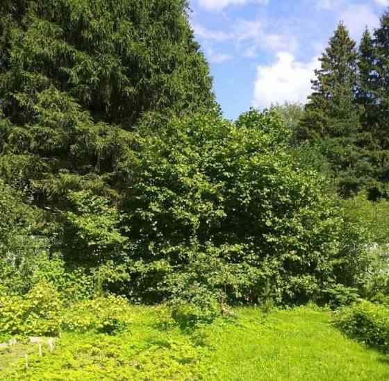 Земельный участок, 0.53 га Лобня