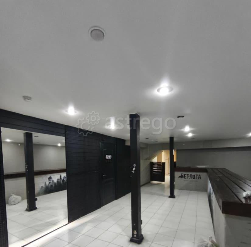 Свободного назначения, 251.1 м2 Красноярск - изображение 1