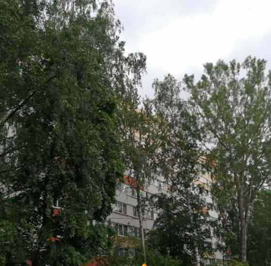Комната, 28 м2, 7/9 эт. Санкт-Петербург