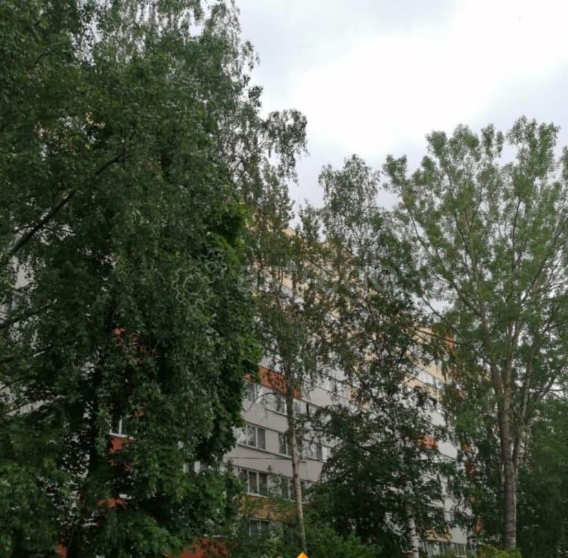 Комната, 28 м2, 7/9 эт. Санкт-Петербург - изображение 1