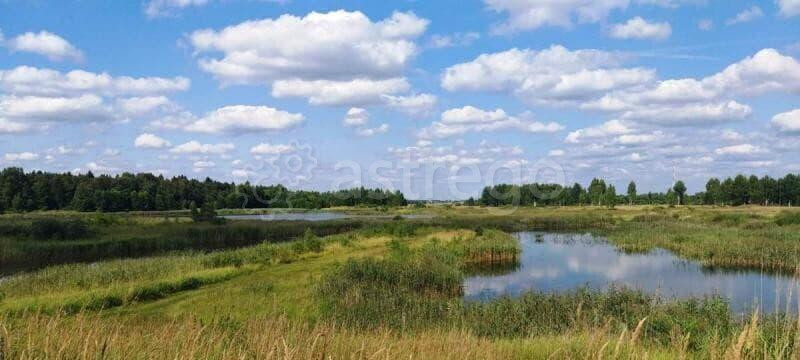 Земля под ИЖС, 6 соток Талдом - изображение 4