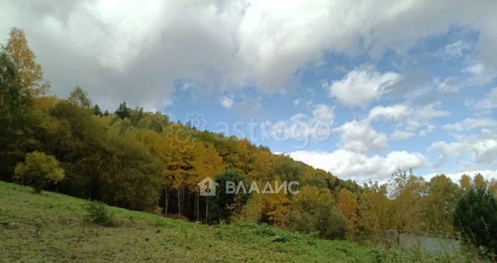 Коммерческий участок, 3.18 га Белокуриха - изображение 3