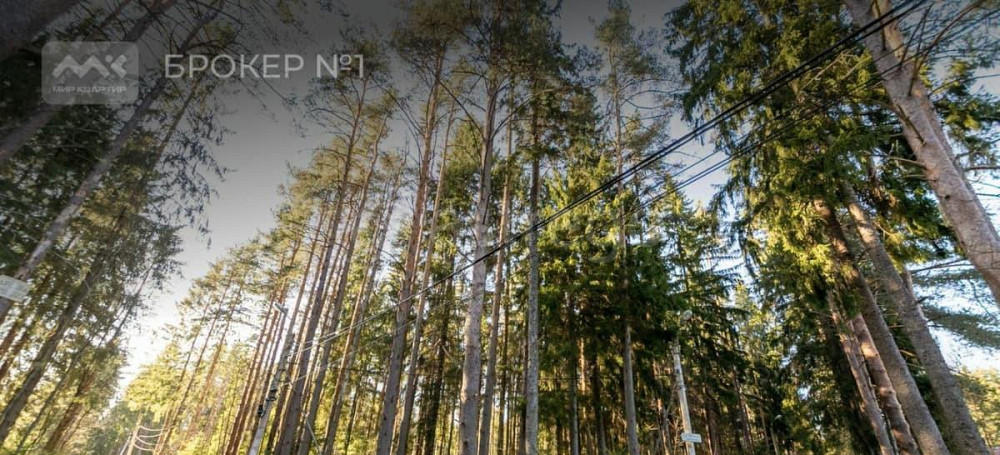 Земельный участок, 20 соток Санкт-Петербург - изображение 4