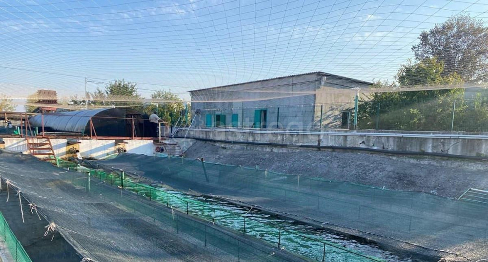 Производственное, 4554 м2 Белгород - изображение 4