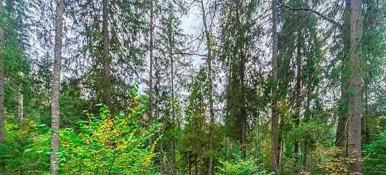 Дом, 125 м2, 14 соток, 2 эт. Яхрома