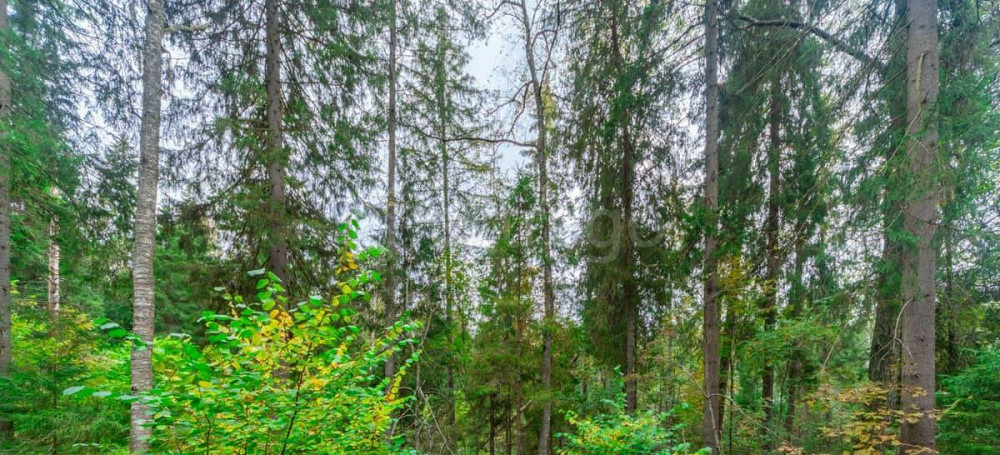 Дом, 125 м2, 14 соток, 2 эт. Яхрома - изображение 4