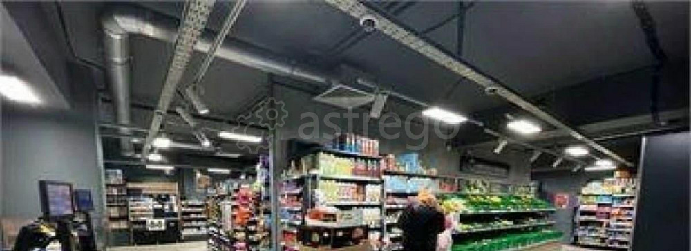 Свободного назначения, 262.3 м2 Красноярск - изображение 1