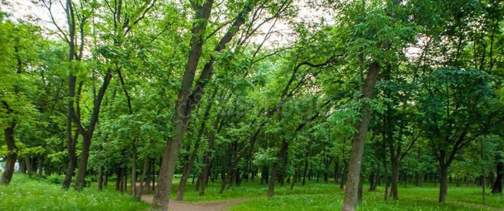 Земельный участок, 30 соток Уфа - изображение 5