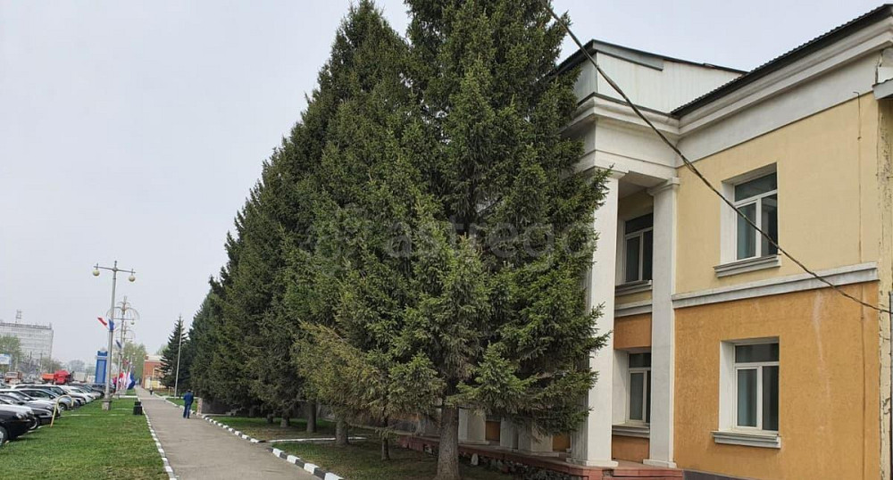 Офис, 1119.1 м2 Барнаул - изображение 3