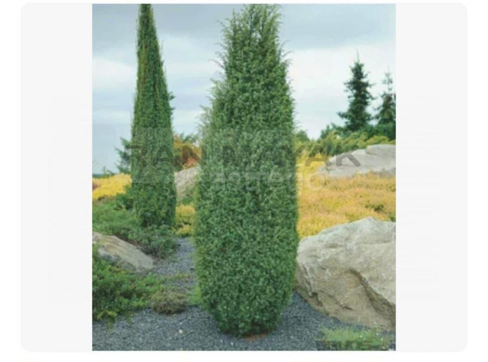 Торговое помещение, 37662 м Тульский - изображение 5