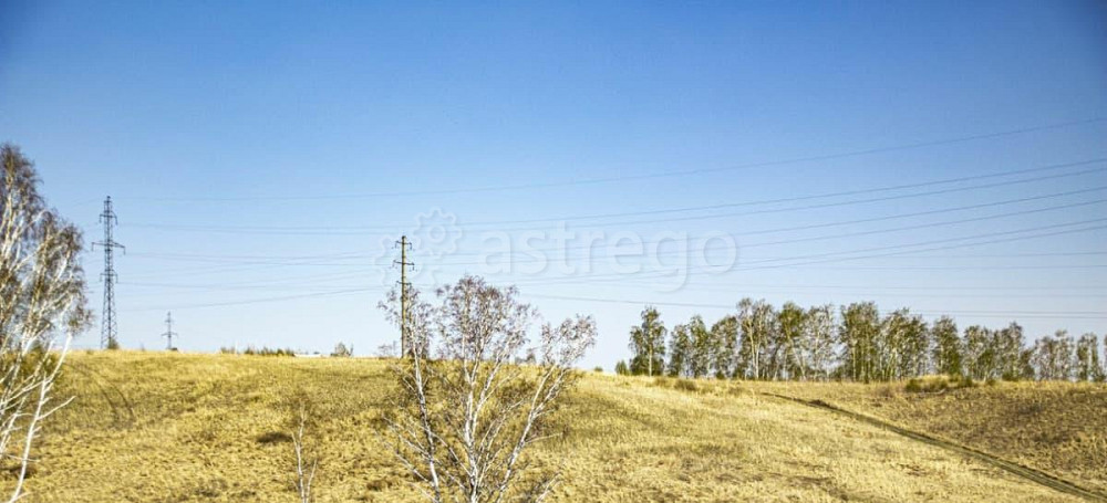 Земельный участок, 15 соток Красноярск - изображение 3