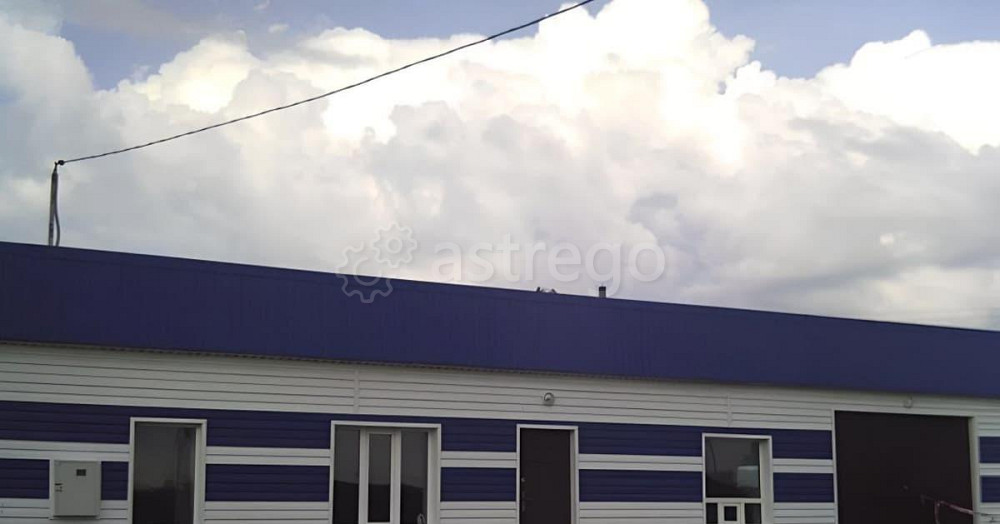 Торговое помещение, 150 м2 Поспелиха - изображение 6