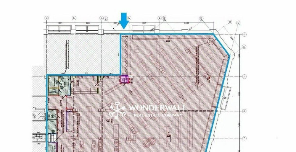Торговое помещение, 795.3 м2 Санкт-Петербург - изображение 4