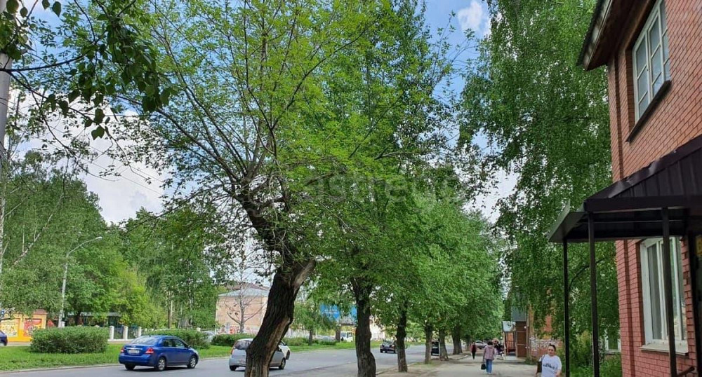 Торговое помещение, 63.2 м2 Барнаул - изображение 3