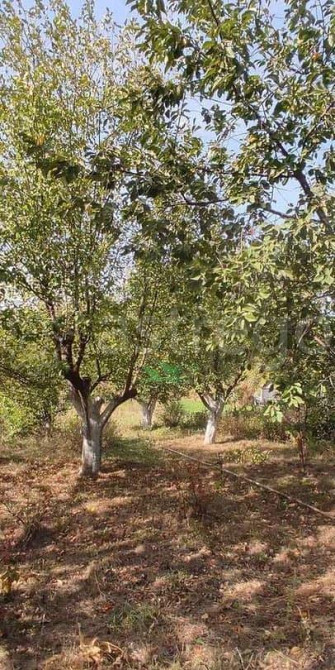 Дача, 29 м2, 7.5 сотки, 2 эт. Разумное - изображение 10