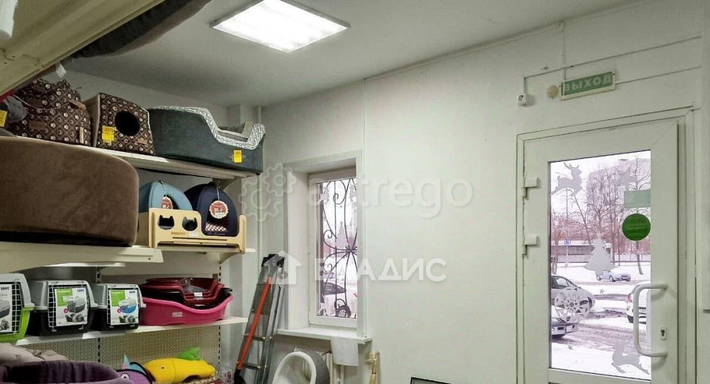 Торговое помещение, 57.7 м2 Белгород - изображение 3