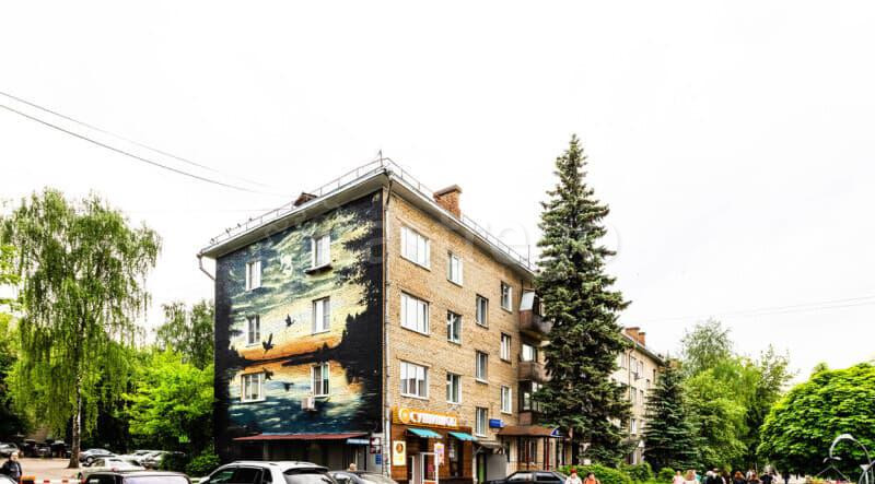 1-комн. квартира, 31 м2, 2/4 эт. Пушкино - изображение 3